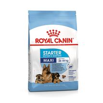 Royal Canin SHN Maxi Starter 4 kg