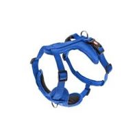 Am za pse Cesare Plavi