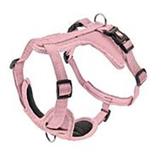 Am za pse Cesare Roze