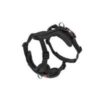 Am za pse Cesare Crni