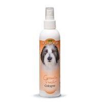 Bio Groom Groom n Fresh sprej 236 ml