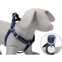 My Lord Grudnjak za pse Teget