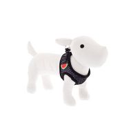 Am za pse Pois Lubenica