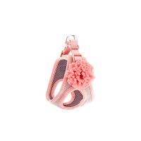 Am za pse Bella Roze