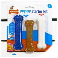 Nylabone početni set za štence sa mirisom Piletine