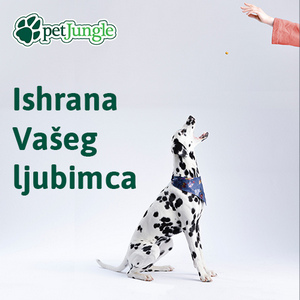 Suva ili vlažna hrana?