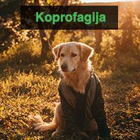 Koprofagija